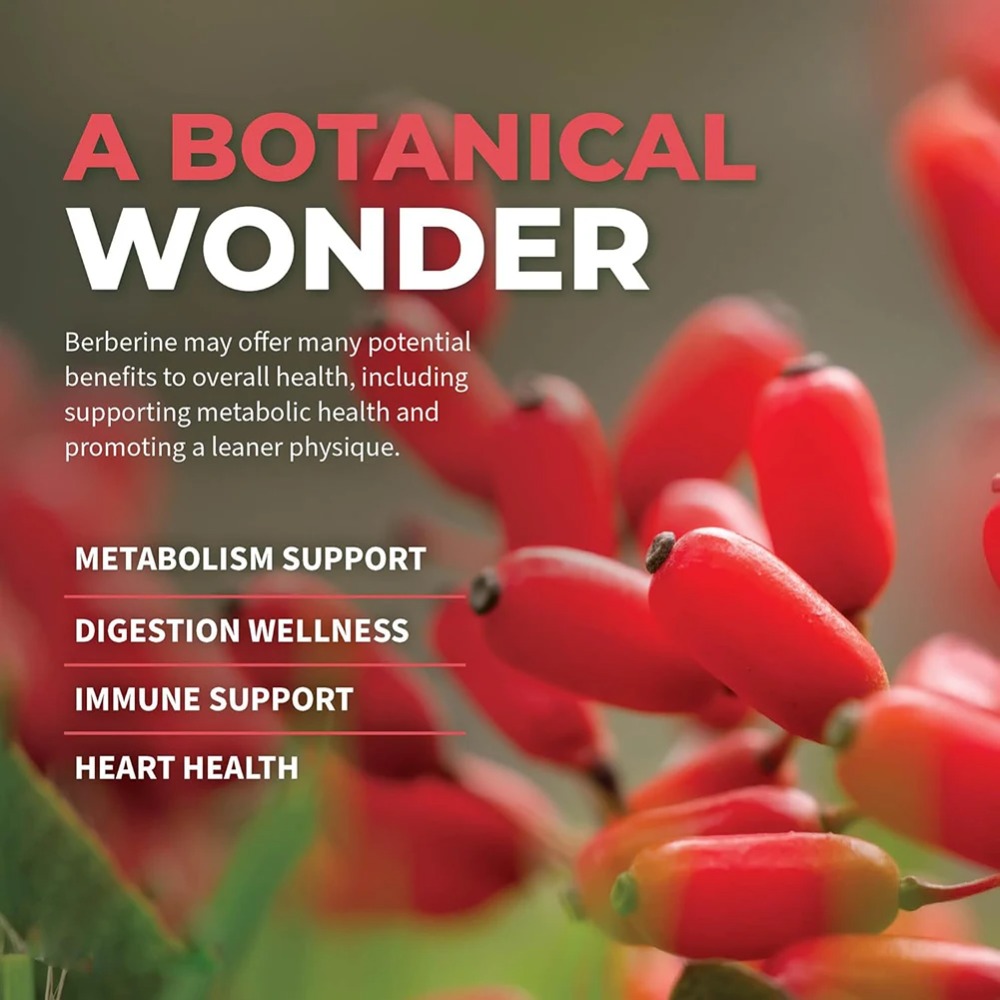 Berberine HCl with Ceylon Cinn - مراجعة Berberine Hcl Capsule وسعره