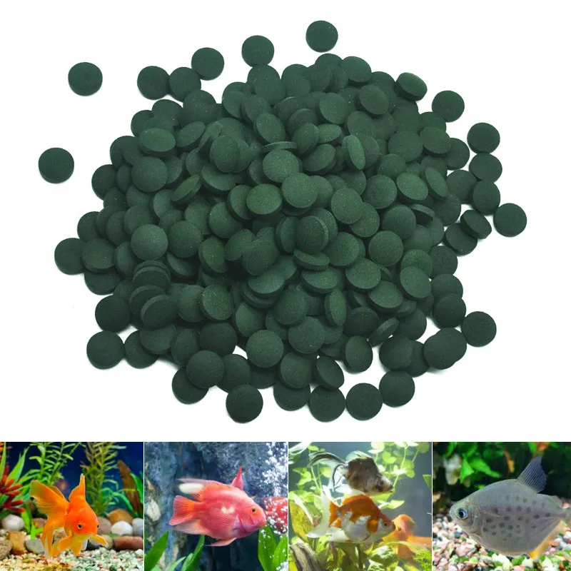 100pcs High Purity Spirulina T - مراجعة Spirulina Tablet Organic وسعره