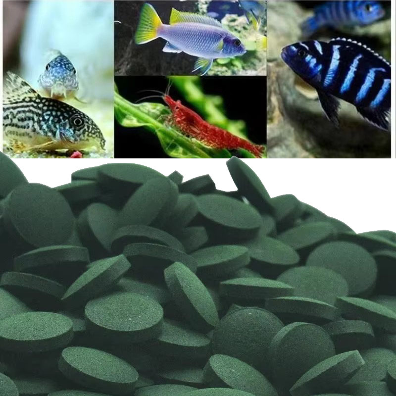 50/100/300/500pcs Spirulina Ta - مراجعة Spirulina Tablet Organic وسعره